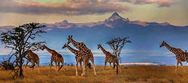 Kenya