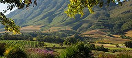 South Africa