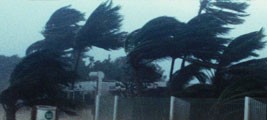 How to Stay Safe if a Natural Disaster Strikes During Your Trip