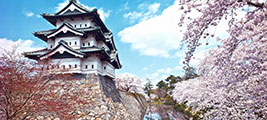 Travel Insurance Checklist